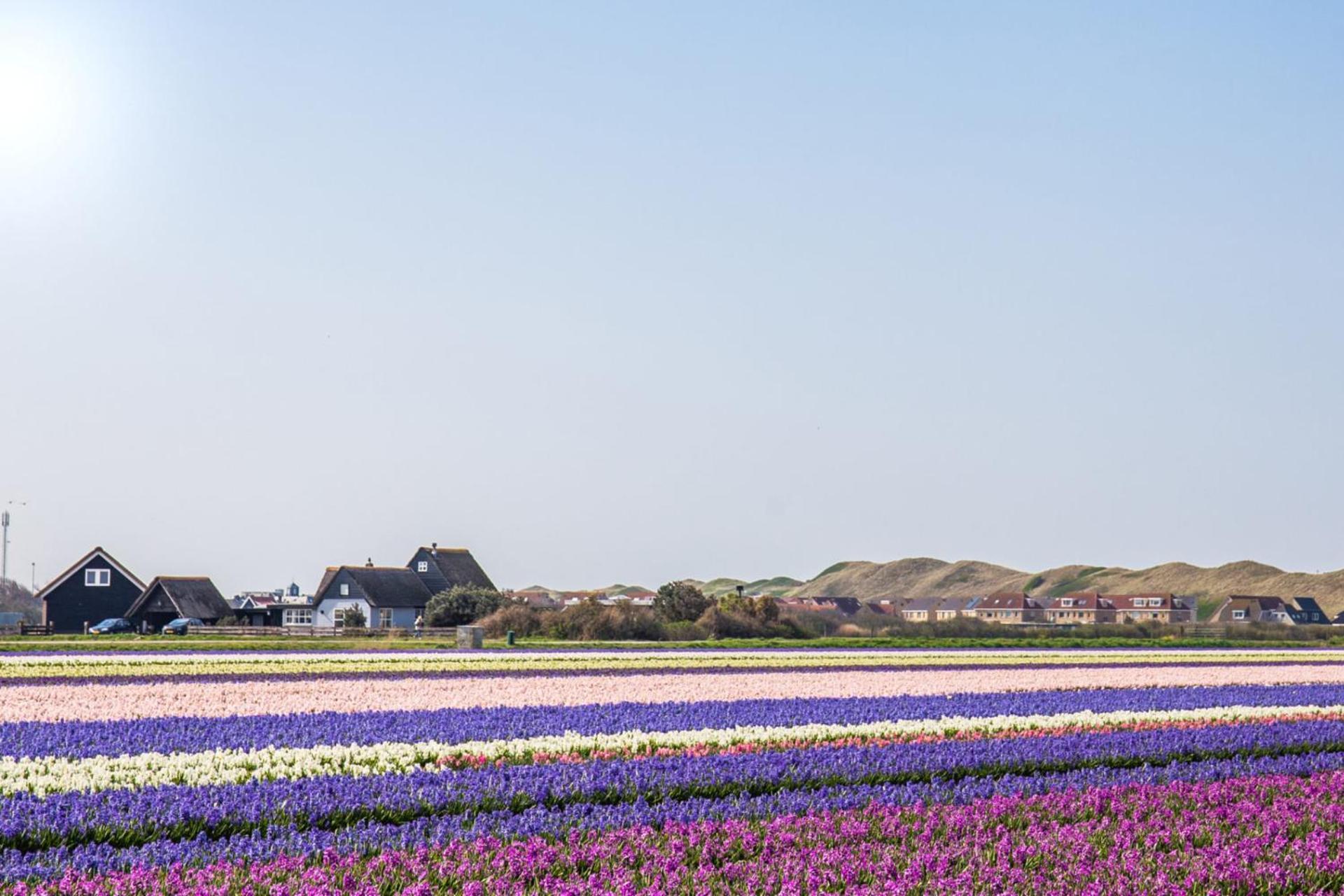 Beach Appartement 17 - Aan De Duinen, Callantsoog Aan Zee Exteriér fotografie