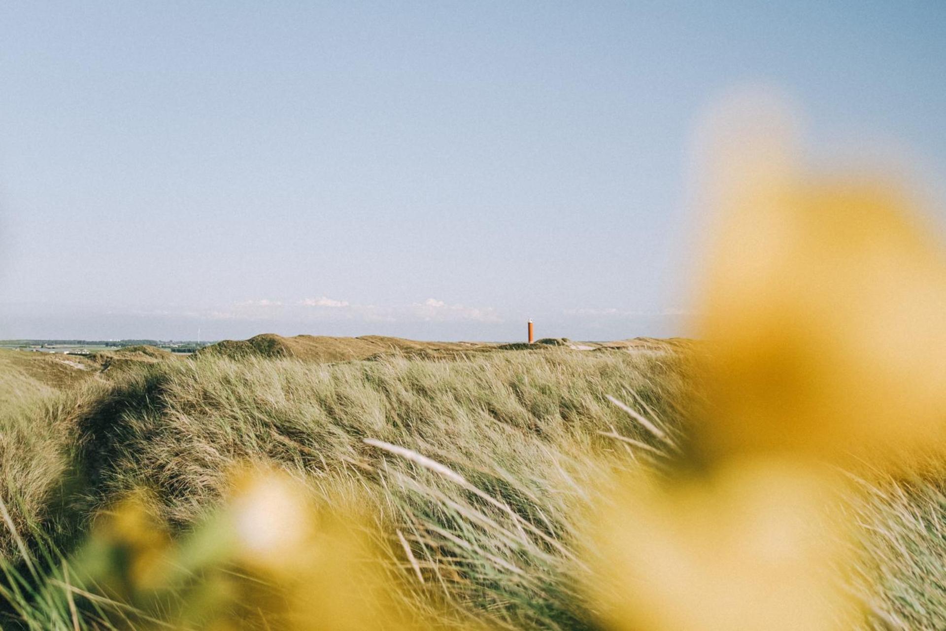 Beach Appartement 17 - Aan De Duinen, Callantsoog Aan Zee Exteriér fotografie